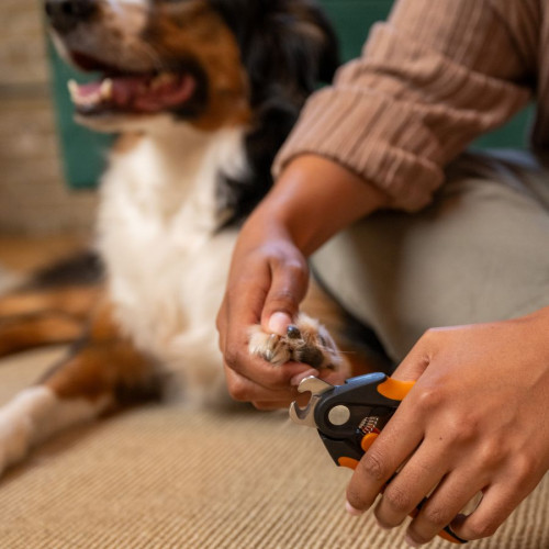 Kliešte na pazúriky Fiskars Pet Care