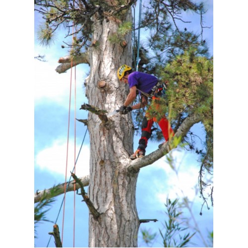 Pílka SILKY Sugowaza 420-6.5-5.5