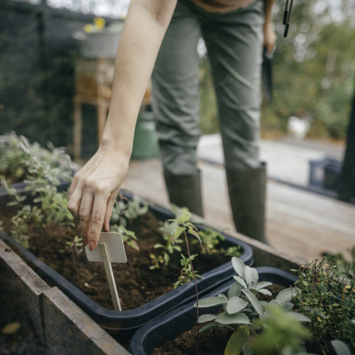 Malé vidly FISKARS Solid