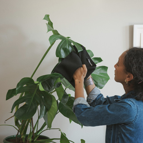 Prachovka na rastliny FISKARS Plant Care