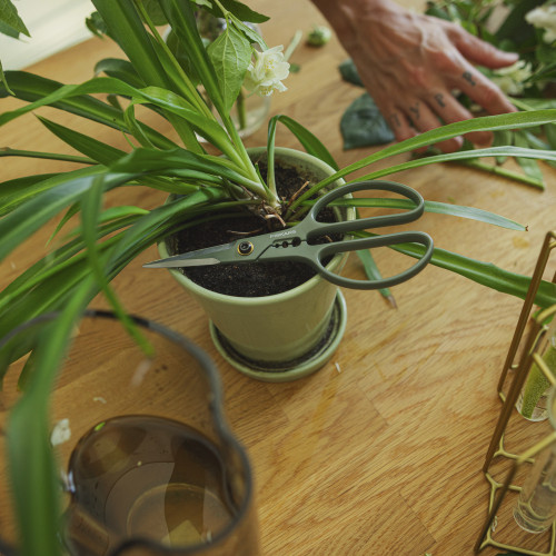 Prestrihávacie nožnice na kvetiny s puzdrom FISKARS Plant Care, 17 cm