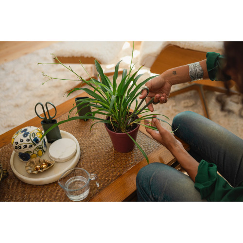Prestrihávacie nožnice s puzdrom FISKARS Plant Care, 16 cm