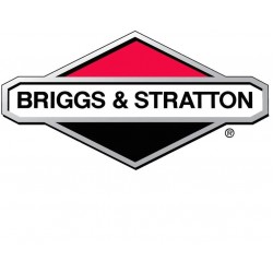 Briggs